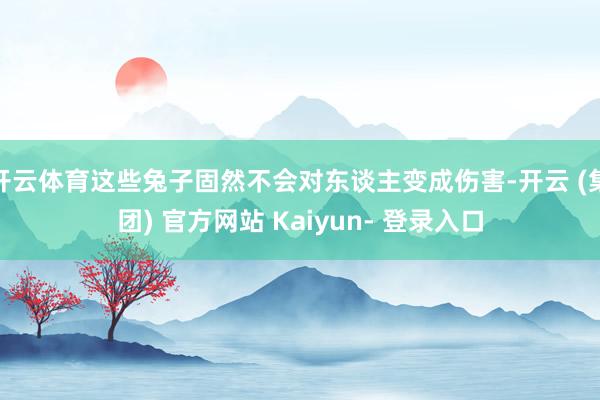 开云体育这些兔子固然不会对东谈主变成伤害-开云 (集团) 官方网站 Kaiyun- 登录入口