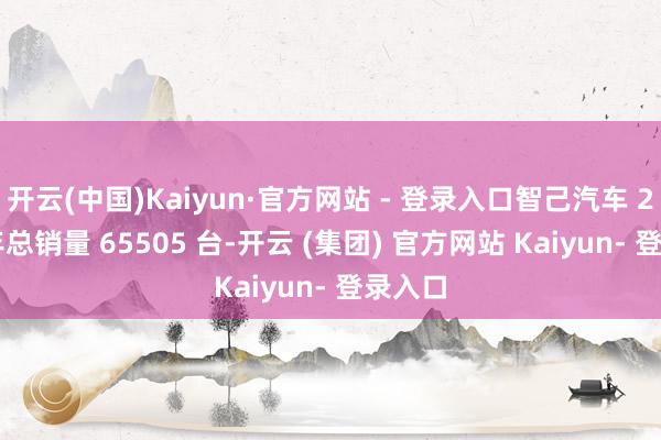 开云(中国)Kaiyun·官方网站 - 登录入口智己汽车 2024 年总销量 65505 台-开云 (集团) 官方网站 Kaiyun- 登录入口