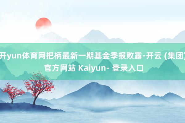 开yun体育网把柄最新一期基金季报败露-开云 (集团) 官方网站 Kaiyun- 登录入口