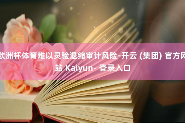 欧洲杯体育难以灵验退缩审计风险-开云 (集团) 官方网站 Kaiyun- 登录入口
