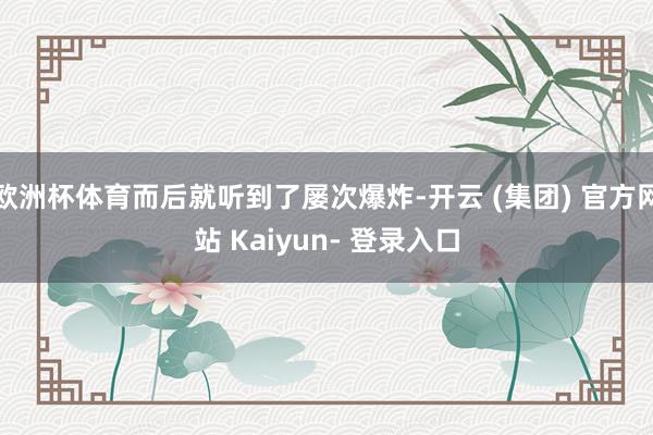 欧洲杯体育而后就听到了屡次爆炸-开云 (集团) 官方网站 Kaiyun- 登录入口