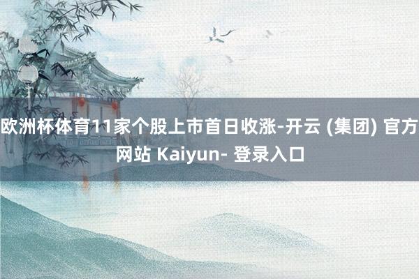 欧洲杯体育11家个股上市首日收涨-开云 (集团) 官方网站 Kaiyun- 登录入口
