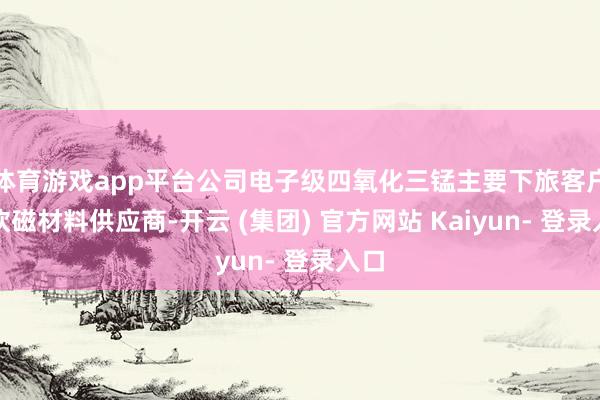 体育游戏app平台公司电子级四氧化三锰主要下旅客户为软磁材料供应商-开云 (集团) 官方网站 Kaiyun- 登录入口