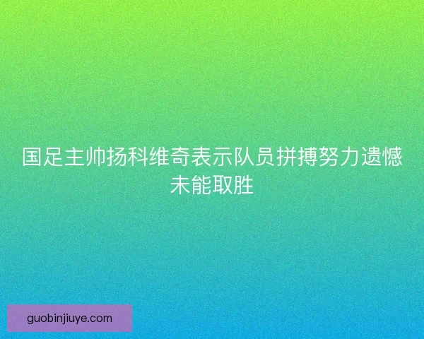 国足主帅扬科维奇表示队员拼搏努力遗憾未能取胜